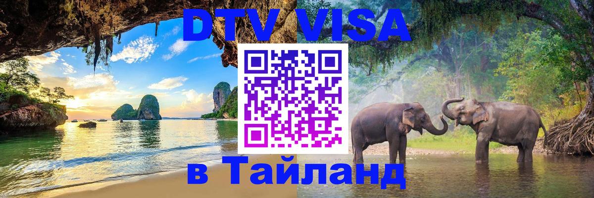 Оформление DTV визы под ключ: стоимость и тарифы, только загранпаспорт - Волгоград  06.12.2025 